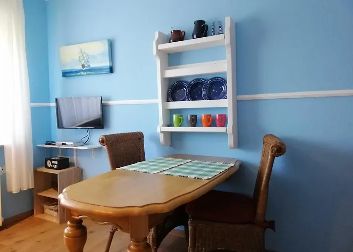 Seestern Daire Schillig